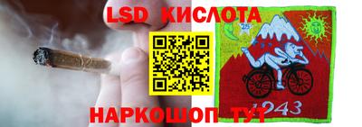 ПСИЛОЦИБИНОВЫЕ ГРИБЫ Ярославль