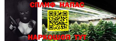 гидра Ярцево